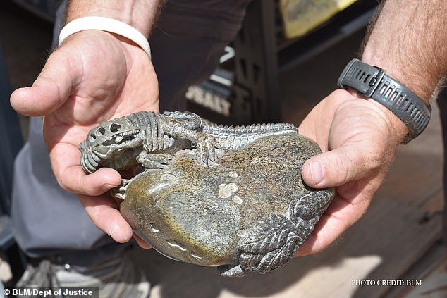 A quartet of fossil dealers have been accused of buying $1 million worth of dinosaur bones stolen from public lands in Utah and illegally shipping them to China (evidence photo)