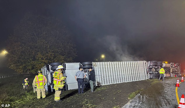 Fourteen cows died after a cattle truck transporting them from Maine to Ohio rolled down Interstate 84 in Connecticut early Thursday morning.