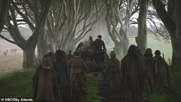 BECOME FAMOUS: The trees are a popular tourist attraction in Armoy, County Antrim, after they appeared in the TV series of George R. R. Martin's fantasy novels (pictured)