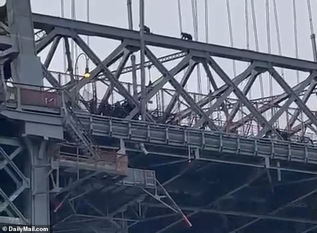 New York's Williamsburg Bridge was closed in both directions Friday morning after a person was seen walking along the top of the structure