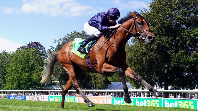 City Of Troy has risen to the top of next year's 2000 Guineas and Derby markets