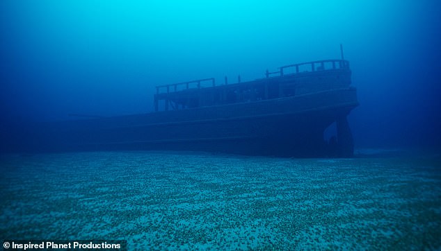 The shipwreck claimed the lives of 11 men on board while towing a ship from Ashtabula, Ohio, to Owen Sound, Ontario.  The boat, which was carrying coal, went missing after hitting shallow ground.  It is 148 feet long, 26 feet wide and 12.5 feet high and appeared to be in good condition when the couple discovered it