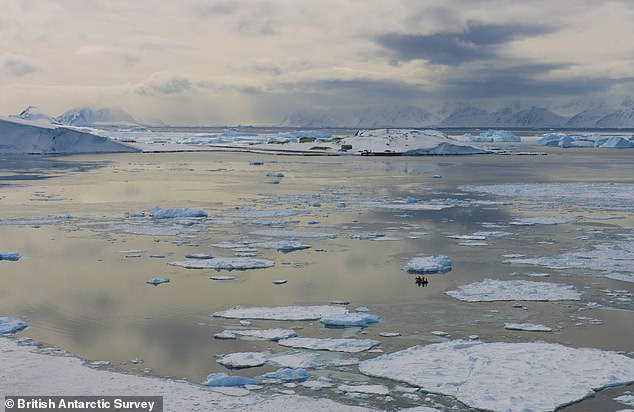 Humans 'may have lost control' of the West Antarctic ice sheet, a new study warns