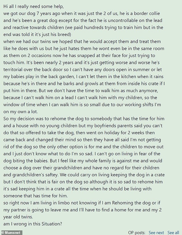 The woman explained that the couple had tried everything to tame him, but the hundreds they spent on a dog trainer were wasted once they were told the cause of the problem was his breed.