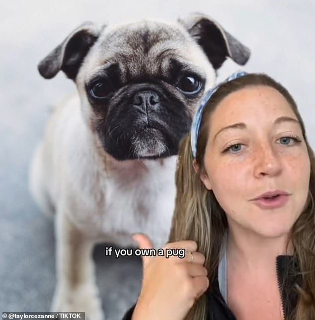 Finally, the dog trainer shares the traits of those who own pugs, noting that these people are always 'quirky'