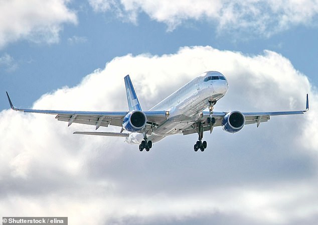 In an effort to help airline passengers with a fear of flying, one pilot has lifted the lid on what exactly happens when a plane takes off (stock photo)