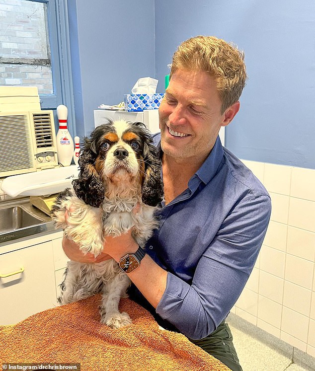 Dr.  Chris Brown (pictured) has revealed that you can tell the gender of a dog or cat by the paw it prefers to use.  Males usually have a dominant left paw, while females tend to use their right paw