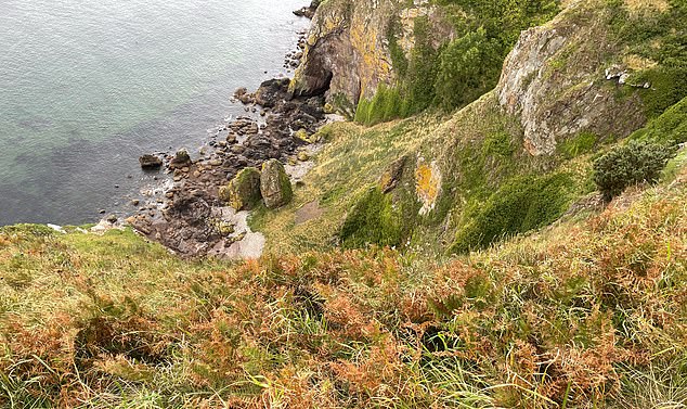 The rugged coastline where the sheep have been stranded for more than two years