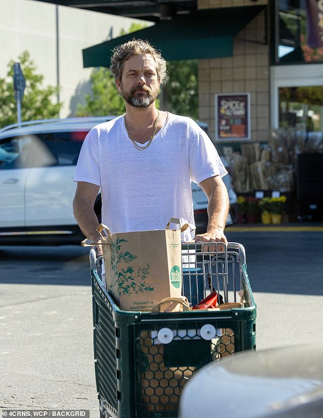 Joshua steps out: Just two days after his estranged wife Jodie Turner Smith filed for divorce , Joshua Jackson was spotted running errands