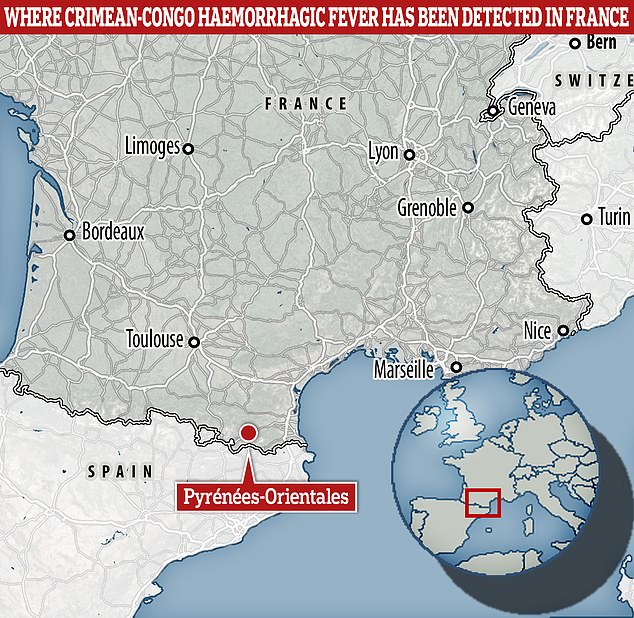 French health authorities have discovered the deadly tick-borne disease Crimean-Congo hemorrhagic fever in animals