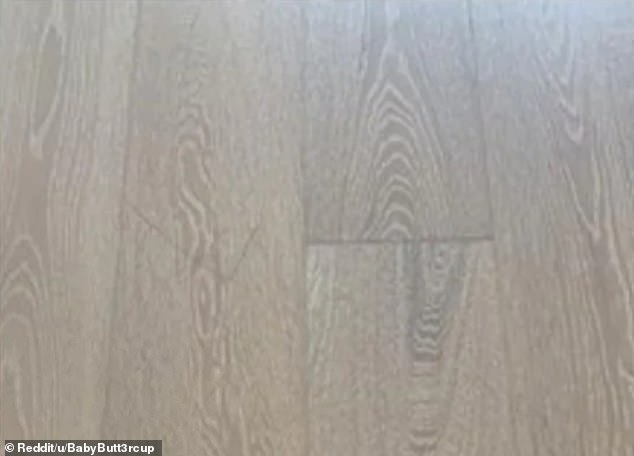 A Sydney landlord demanded a couple pay $1,000 to fix a small scratch (above) in their living room