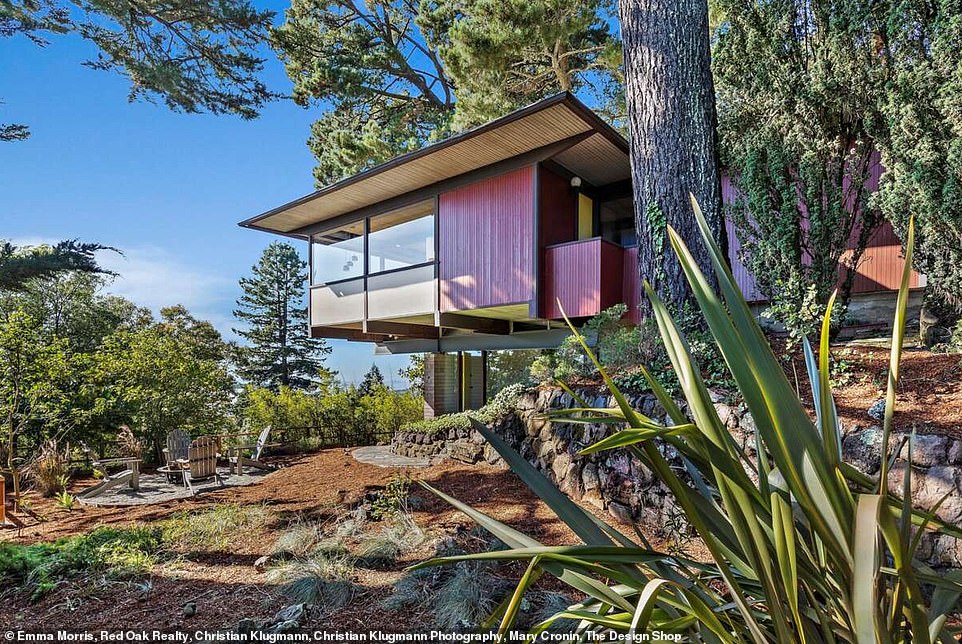 An astonishing California treehouse that once belonged to 'cool jazz' star Dave Brubeck has hit the market for $3 million