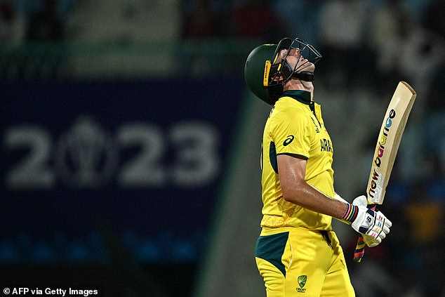 Australian captain Pat Cummins can't hide his pain after losing his wicket against South Africa in the Australians' second consecutive World Cup defeat.