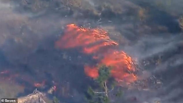 Emergency warnings are current for properties between Mount French Road, Sommers Road and Frenches Creek Road (pictured, flames in the emergency area)