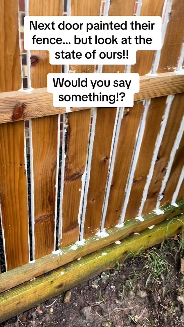 A TikToker was shocked after her neighbor painted their side of the fence, leaving a total mess on her side