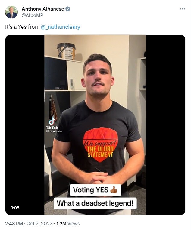 Hynes follows Nathan Cleary in supporting the campaign backed by Anthony Albanese