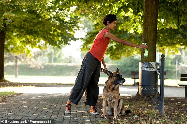 Residents in affluent suburbs are considering whether morning dog walkers should use private bins to dispose of dogs