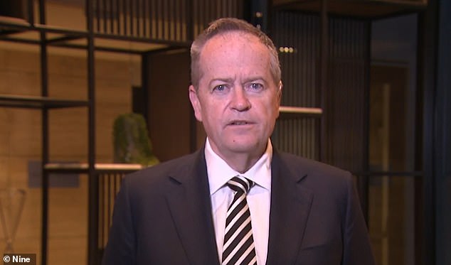 Federal government frontbenchers, including Public Service Minister Bill Shorten (pictured), have condemned the clip