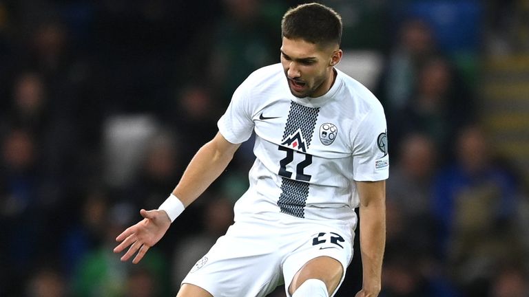 Adam Cerin from Slovenia celebrates after scoring against Northern Ireland