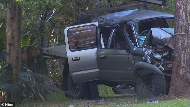 The road has a sharp bend just before the tree with police investigating whether speed played a factor