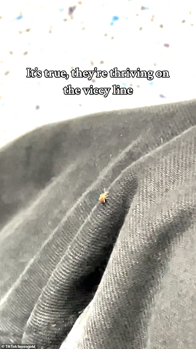 In the eight-second video shared online, the brown beetle can be seen on the fold of the passenger's black jeans.  TikTok user @Lassgold, who posted the clip yesterday, said he was 