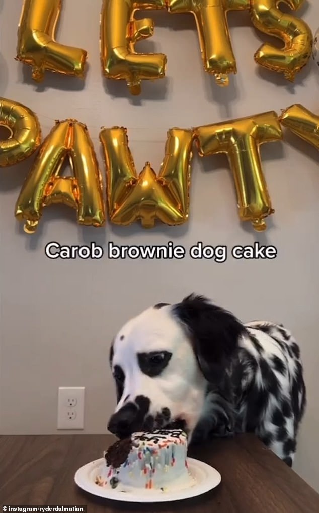 A childless couple who adore their dog like a 'baby' have revealed how they threw him a lavish first birthday party