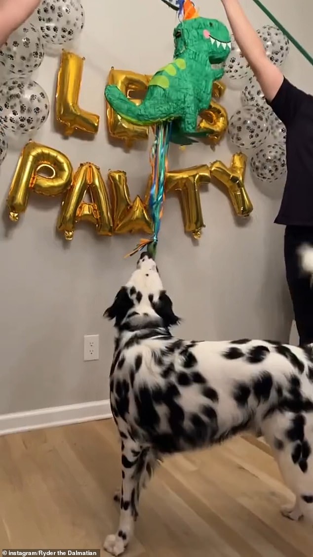 Sandra Macedo and Jessie Magana, both 27, decided to go all out for their beloved long-haired Dalmatian named Ryder with a $200 party on May 21.