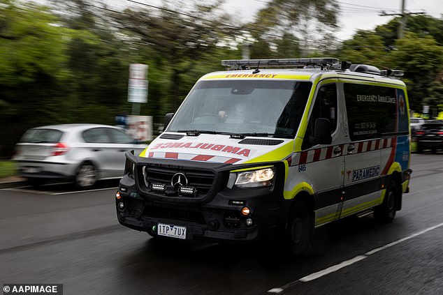 A paramedic pronounced a 70-year-old woman dead despite her heart still beating because he would not perform CPR on muddy ground littered with bird droppings, a tribunal has heard (file photo)