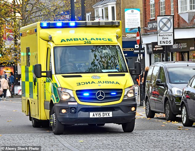 A report by MPs has found that emergency ambulance response times vary widely depending on where a patient lives (file photo)