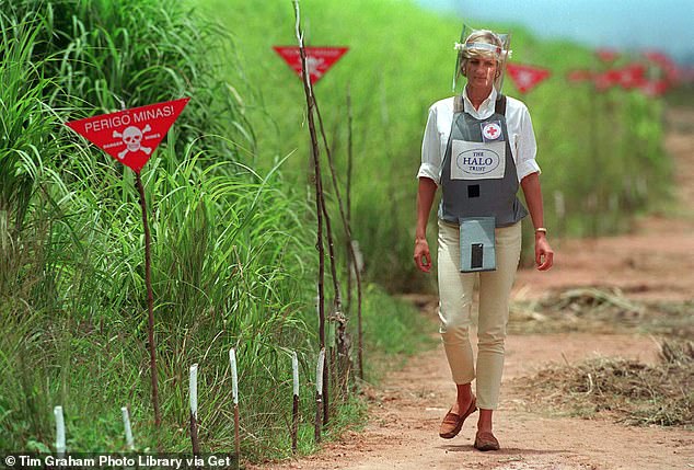 In one of the last and most important acts of her life, the princess was seen walking through a minefield in Angola (pictured) to promote the vital work of the Halo Trust