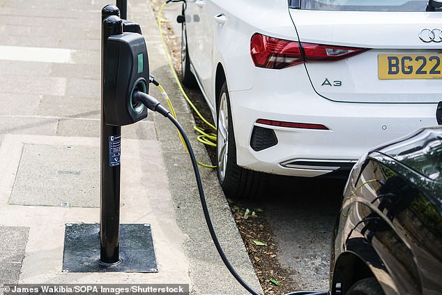 The Society of Motor Manufacturers and Traders said the data showed that the purchase of electric cars should be subsidized, as in other countries (Stock Image)