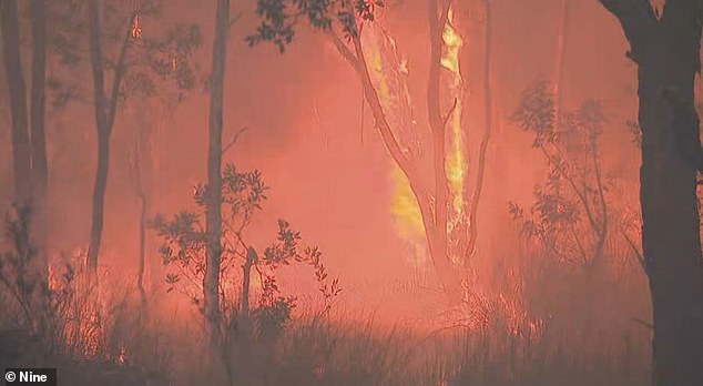 Days after fleeing their homes, people have been told it is still not safe to return as bushfires continue to burn in central Queensland.