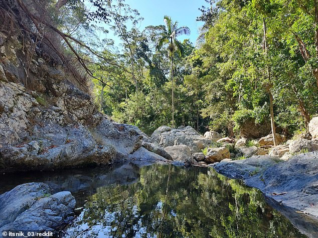 Queenslanders reacted furiously on social media to the revelation of a 'secret' watering hole in the state's south-east