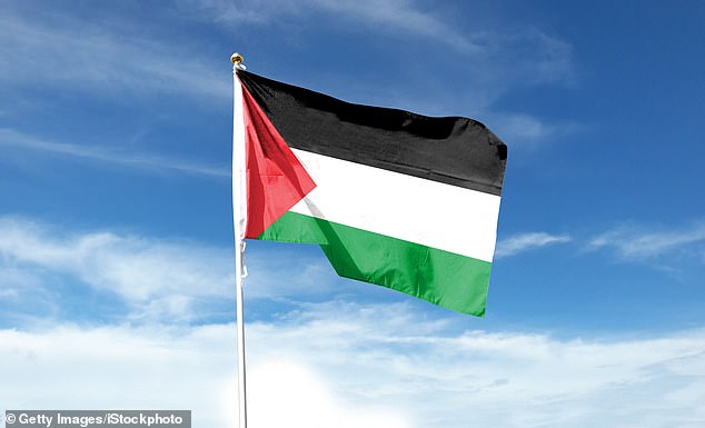 The Palestinian flag will no longer fly over Randwick Town Hall (stock image)