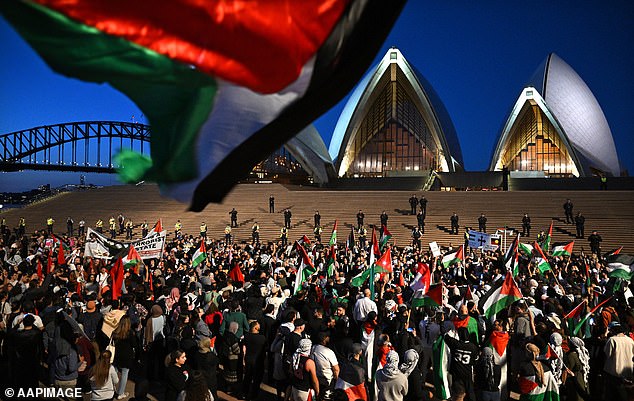 Below the steps of the Opera, a large crowd gathered waving Palestinian flags