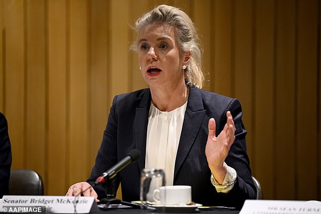 Bridget McKenzie, who chaired the Select Committee's inquiry into the decision to reject more Qatar Airways flights to Australia, welcomed Mr Goyder's announcement on Wednesday.