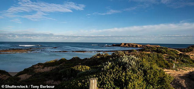 The swimmer was attacked just before 8am on Monday in Beachport, about 311 kilometers south-east of Adelaide.