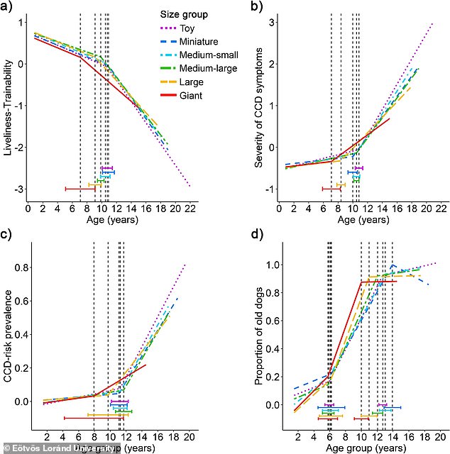 Research has found that smaller dogs live twice as long as their larger counterparts (bottom right graph).  However, these little pups age much faster than the larger pooches (bottom left graph) and have more severe symptoms of aging (top right graph), according to experts from Eötvös Loránd University in Budapest.