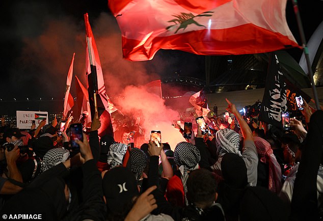 The rally, organized by the Palestine Action Group in Sydney, saw a large number of pro-Palestinian activists gather at Town Hall in Sydney's CBD before marching to the Opera House.