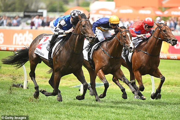 Jockey Mark Zahra impressed early in the day as he piloted Brave Mead (left) to victory