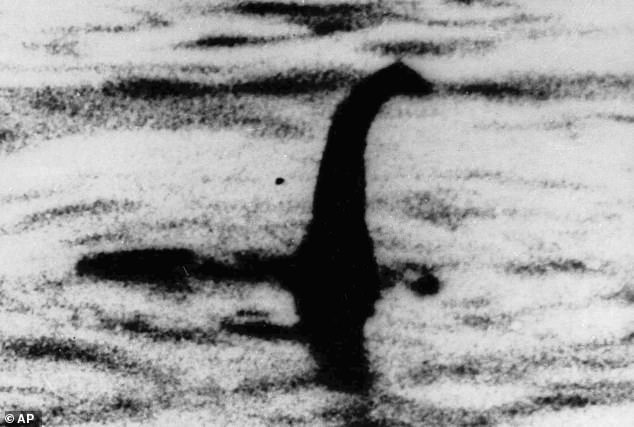 A mysterious creature hiding beneath the ripples of a dark natural pond in Cambridge Massachusetts has been identified