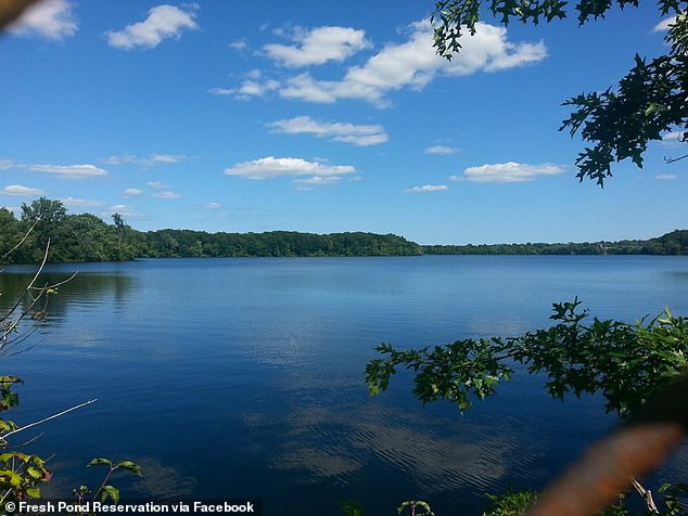 Several sightings of a slim, slithering, 15-foot-long creature lurking beneath the water of Fresh Pond were reported weeks before Halloween