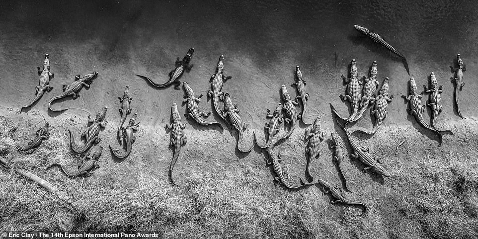 The jaw dropping winners of the 2023 panoramic photo awards revealed