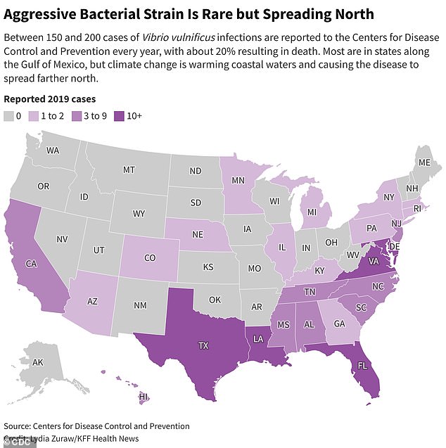 Vibrio vulnificus is beginning to spread across the United States due to warming ocean temperatures