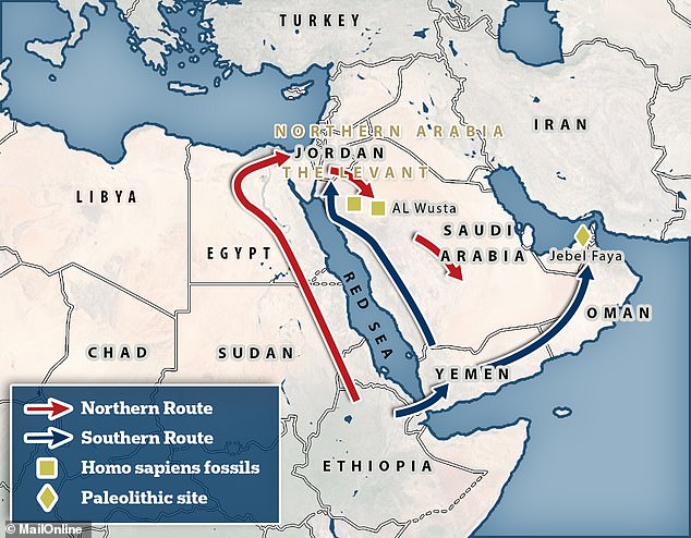 This stunning map reveals the newly discovered route that early humans took when they left Africa for Eurasia 80,000 years ago.  Scientists have long believed that when sea levels were low, Homo sapiens used a southern crossing across the Red Sea from the Horn of Africa, to reach southwestern Arabia.  But a new study suggests there is another corridor to the north