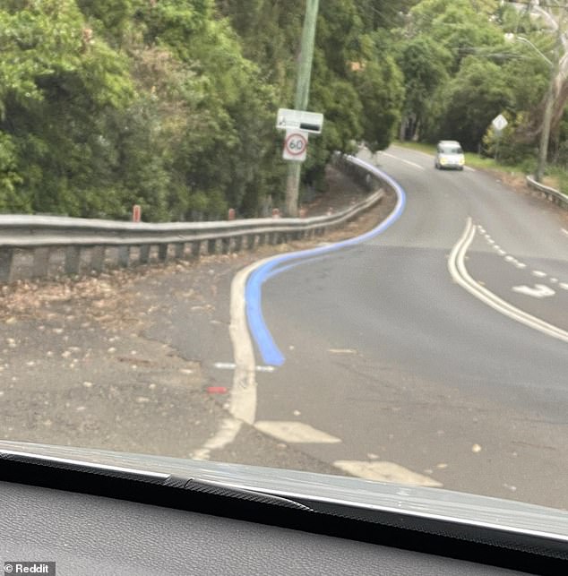 One Redditor wondered what the blue line on the road in Stanwell Park was for.  It was revealed that it marked the route for the UCI Road World Championships