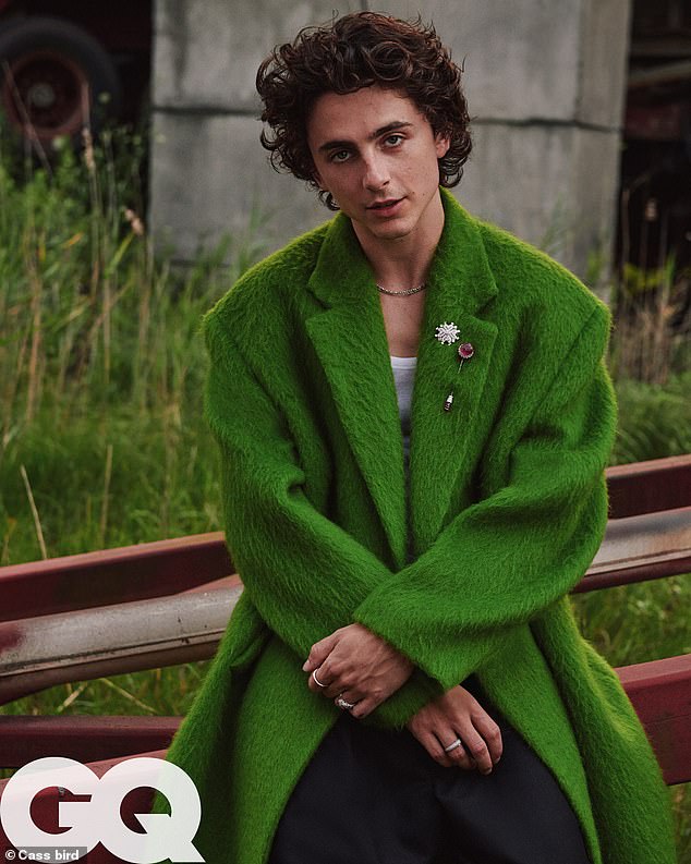 Speaking: Timothée Chalamet has addressed the sexual assault allegations against his Call Me by Your Name co-star Armie Hammer while reporting for November's GQ