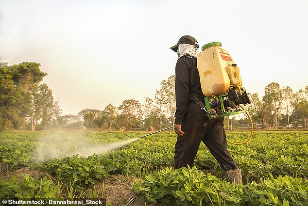 Researchers at the University of California, San Diego found that exposure to glyphosate, the most commonly used herbicide in the United States, and the widely used weedkiller 2,4D are linked to poorer brain function in adolescents