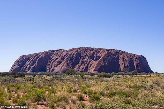 Shawn Bartley and Richard Jarrett from New South Wales, who claim to be 'sovereign citizens', faced multiple charges in Alice Springs Local Court on Thursday - although they did not appear in person.