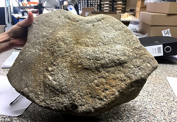 A Roman millstone (pictured) found near Cambridge was decorated with a carving of a penis – an 'image of strength and masculinity' – archaeologists have revealed